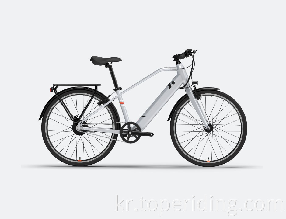 Electric City Bike LC01